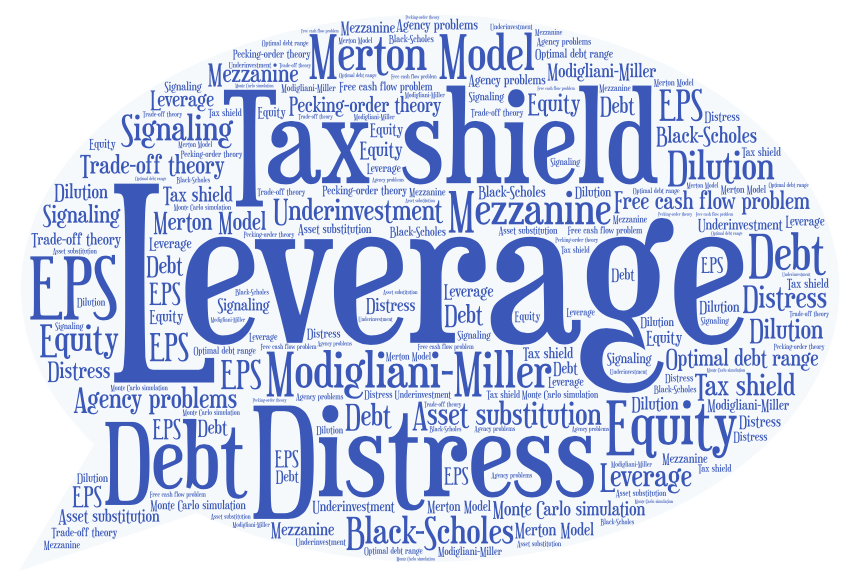 financing policy word cloud